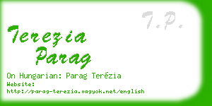 terezia parag business card