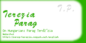 terezia parag business card